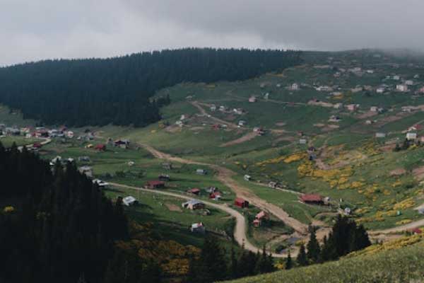 亳州乡村规划师怎么报考