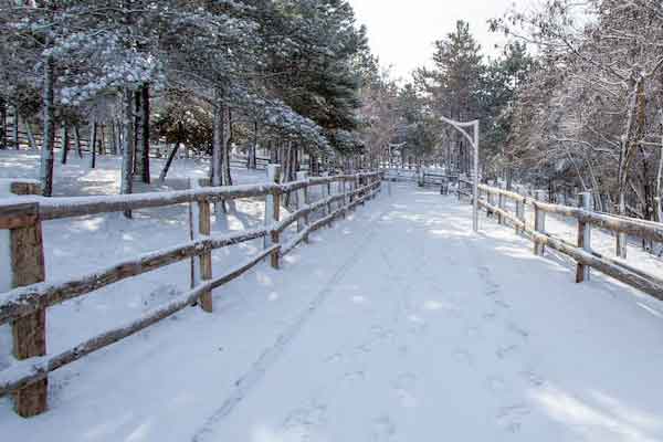 云南乡村规划师怎么报考