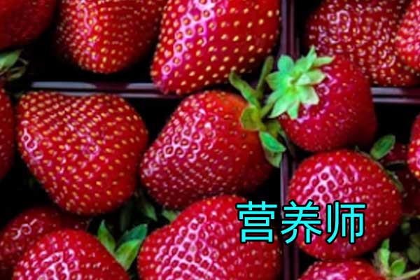 三明公共营养师考试培训价格费用多少钱