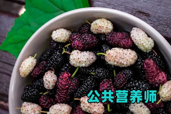 襄阳公共营养师考试培训机构排名哪家好