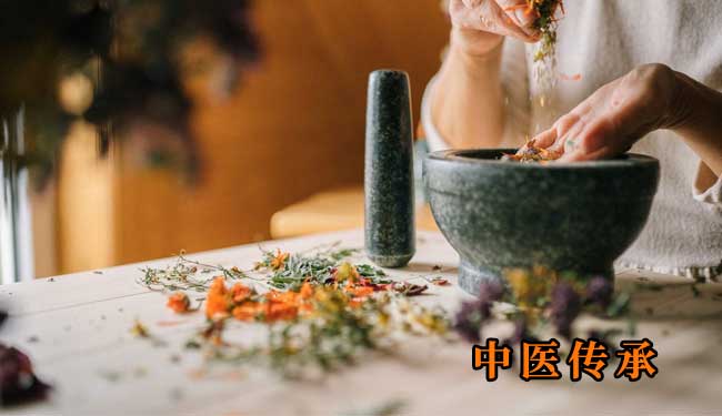 哪些人适合学中医传统师承？