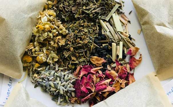 莆田2026年中医专长考试培训