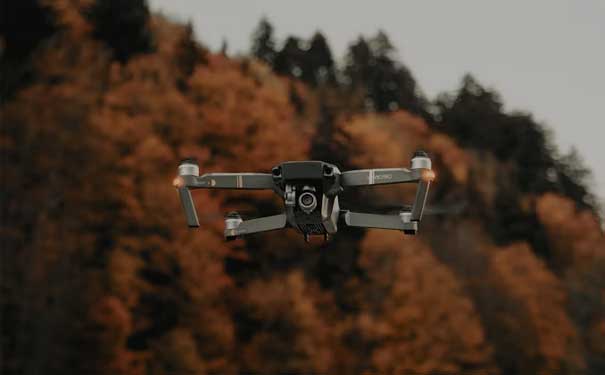 619025.jpg 619025.jpg