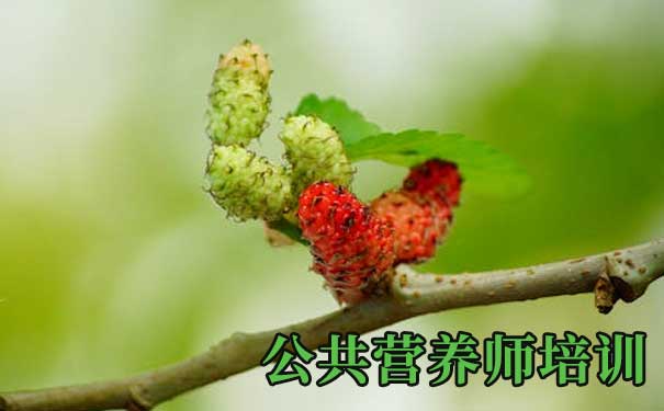 昆明营养师培训班培训费用多少钱？