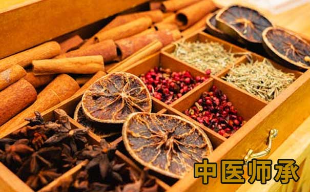 南昌中医师承培训班招生条件